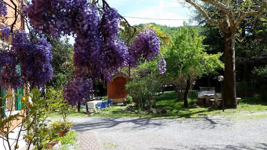 Villa Storica Calderino Monte San Pietro ภายนอก รูปภาพ